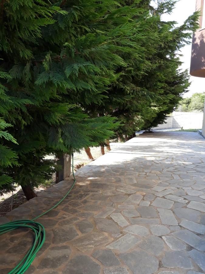 Apartment Ithakis Nea Iraklitsa 외부 사진